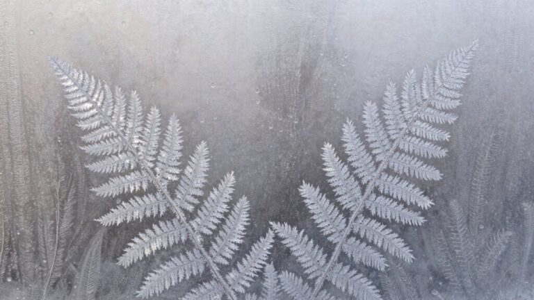 condensation in cold weather